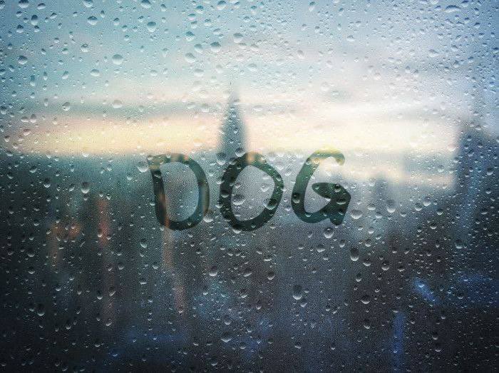 DogCTOonSolana's tweet photo. 👀 https://t.co/UFFOQXGwXD
