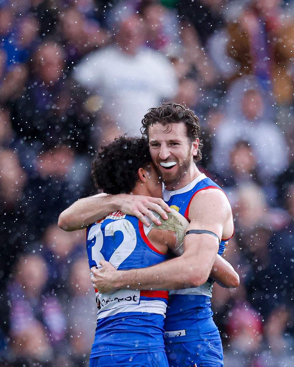 Western Bulldogs tweet media