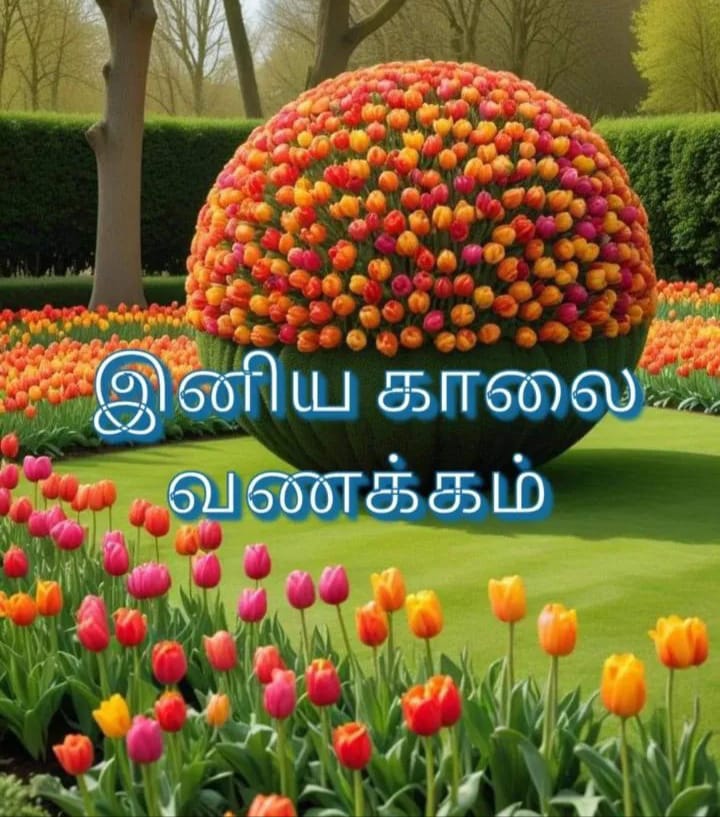 vincent_19711's tweet photo. ஒருவரால் புறக்கணிக்கப்பட்டால்..!

இன்னொருவரால் கொண்டாடப்படுவோம்...!!

அவ்வளவு தான் வாழ்க்கை...!!!

இனிய காலை வணக்கம்
🌹🌹🌹 https://t.co/8TF7j25DYo