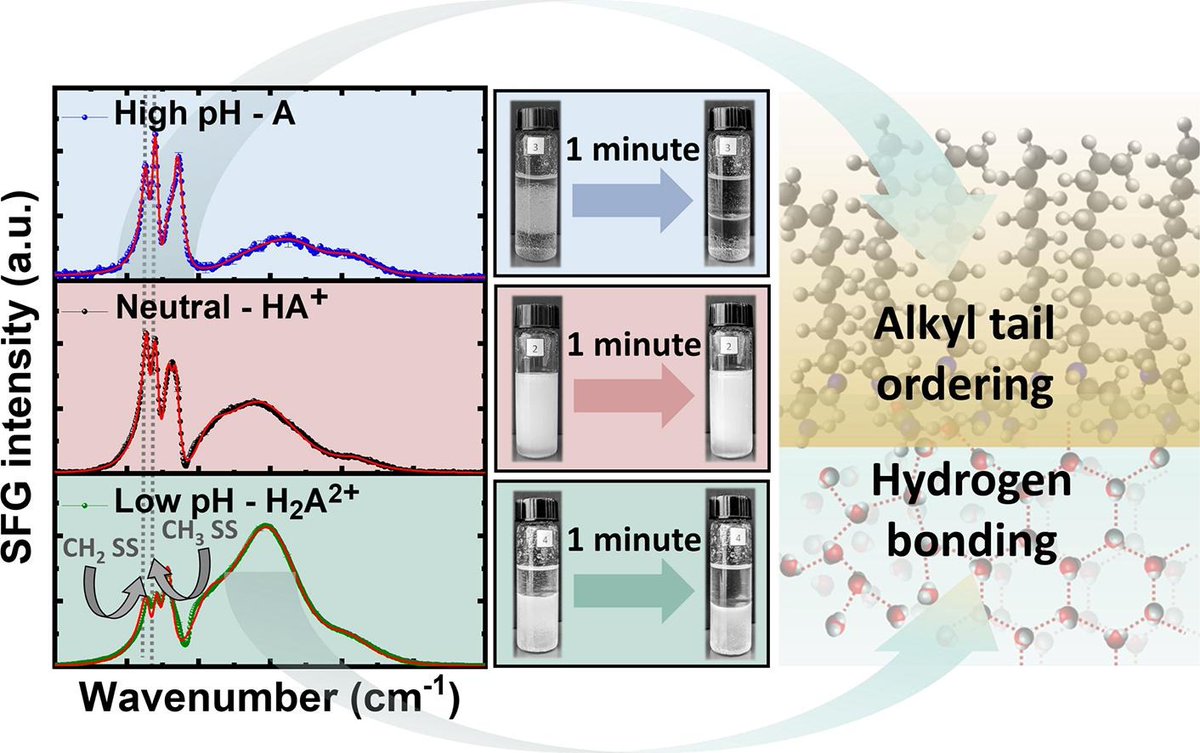 OhioU\CAS\ChemBiochem graduate student  Ambagaspitiya led by Prof. Cimatu and Prof. Bergmeier use ultrafast laser spectroscopy to study the mechanism of emulsion stability of pH sensitive surfactants that are wildly applied in many industries.
sciencedirect.com/science/articl…