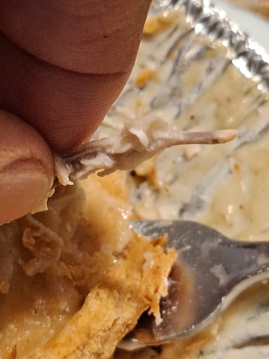 Barry Hafer tweet media