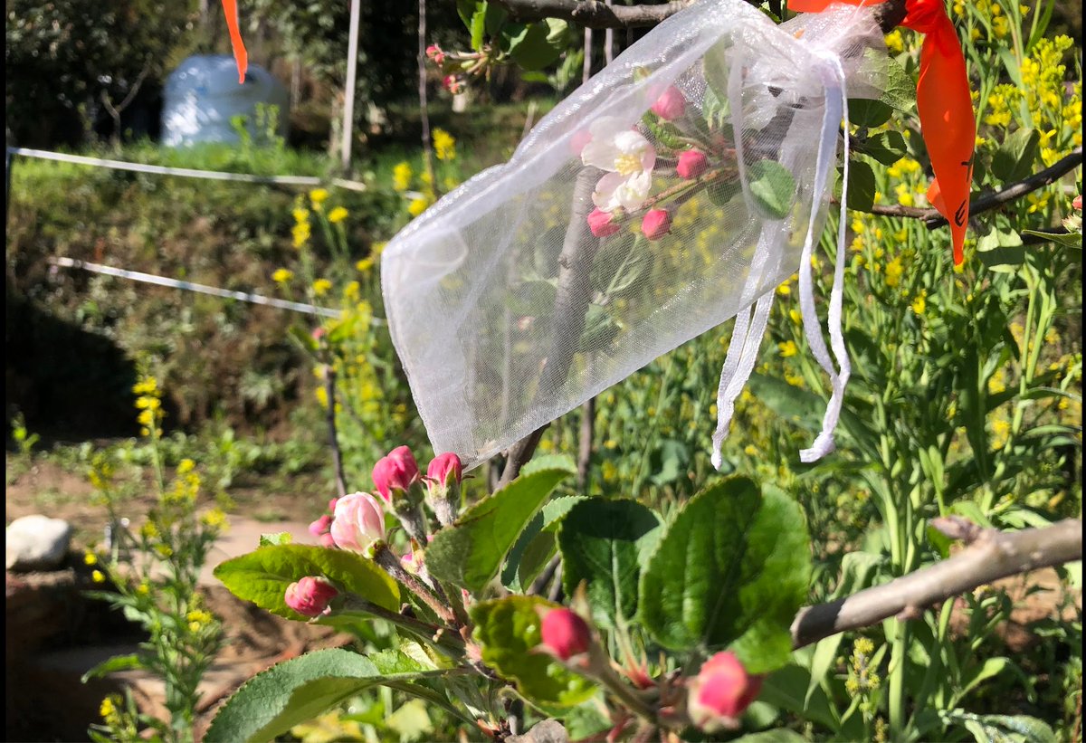 Ginger Allington tweet media