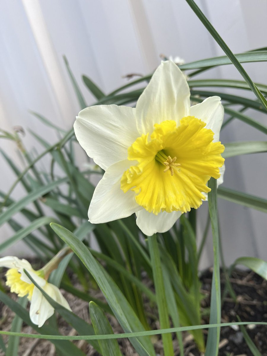 JudithClarke54's tweet image. This mornings sprints intervals into a strong headwind along the Mersey might not have been fun by myself but with Vanessa for company we got it done and had a laugh. #runningwithfriends #enjoytheday #smile #keepsafe &amp;amp; only 6 days of winter left