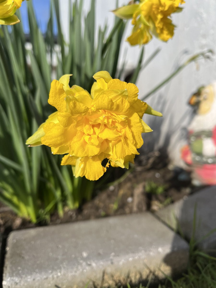 JudithClarke54's tweet image. This mornings sprints intervals into a strong headwind along the Mersey might not have been fun by myself but with Vanessa for company we got it done and had a laugh. #runningwithfriends #enjoytheday #smile #keepsafe &amp;amp; only 6 days of winter left