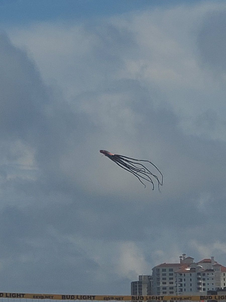 Damn florida. Why is there an eldritch horror on the beach.