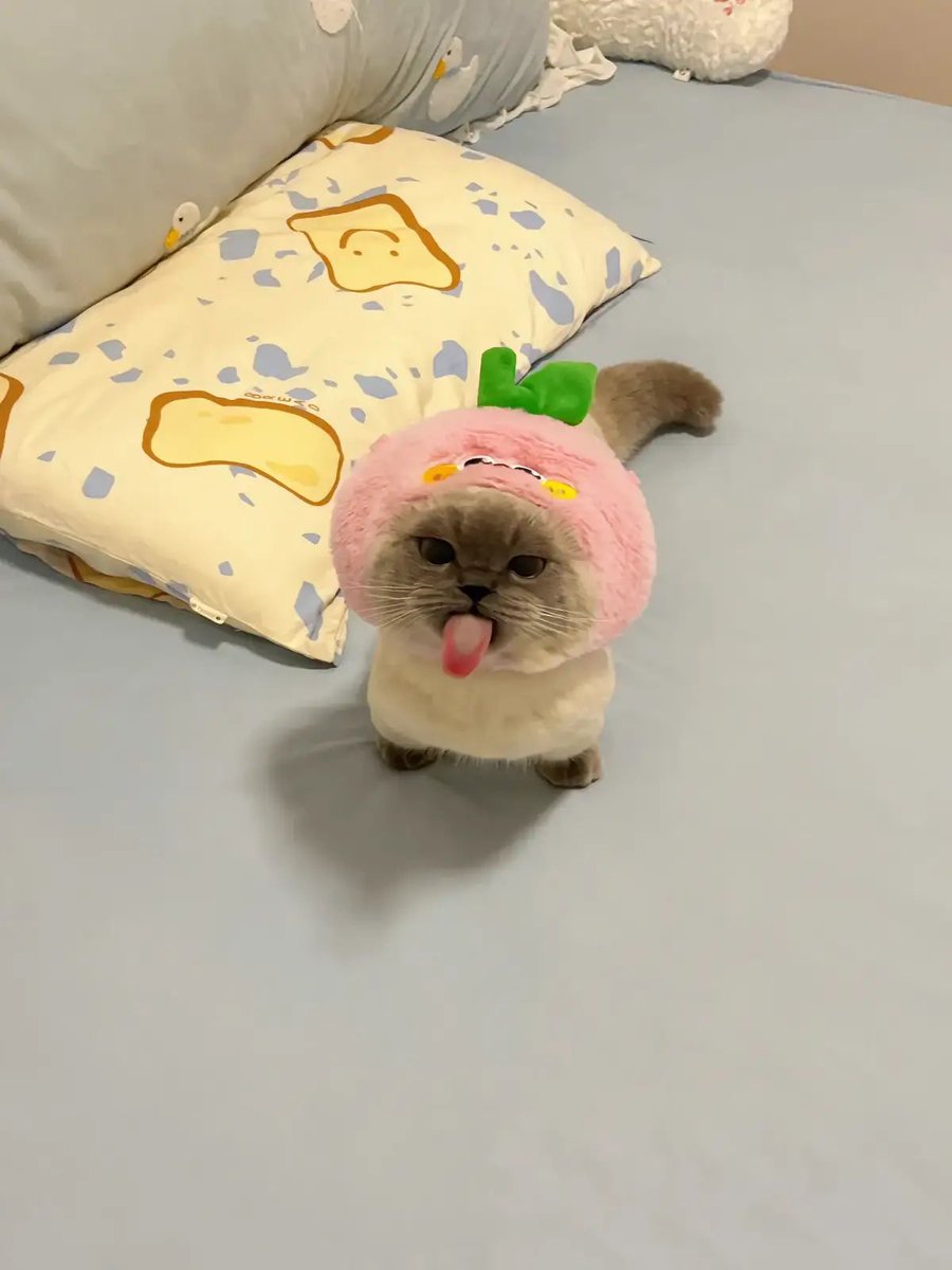 i win. laufey's champion. 5th gold.