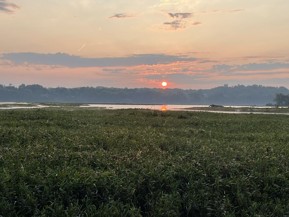 Average Dad Fishing tweet media