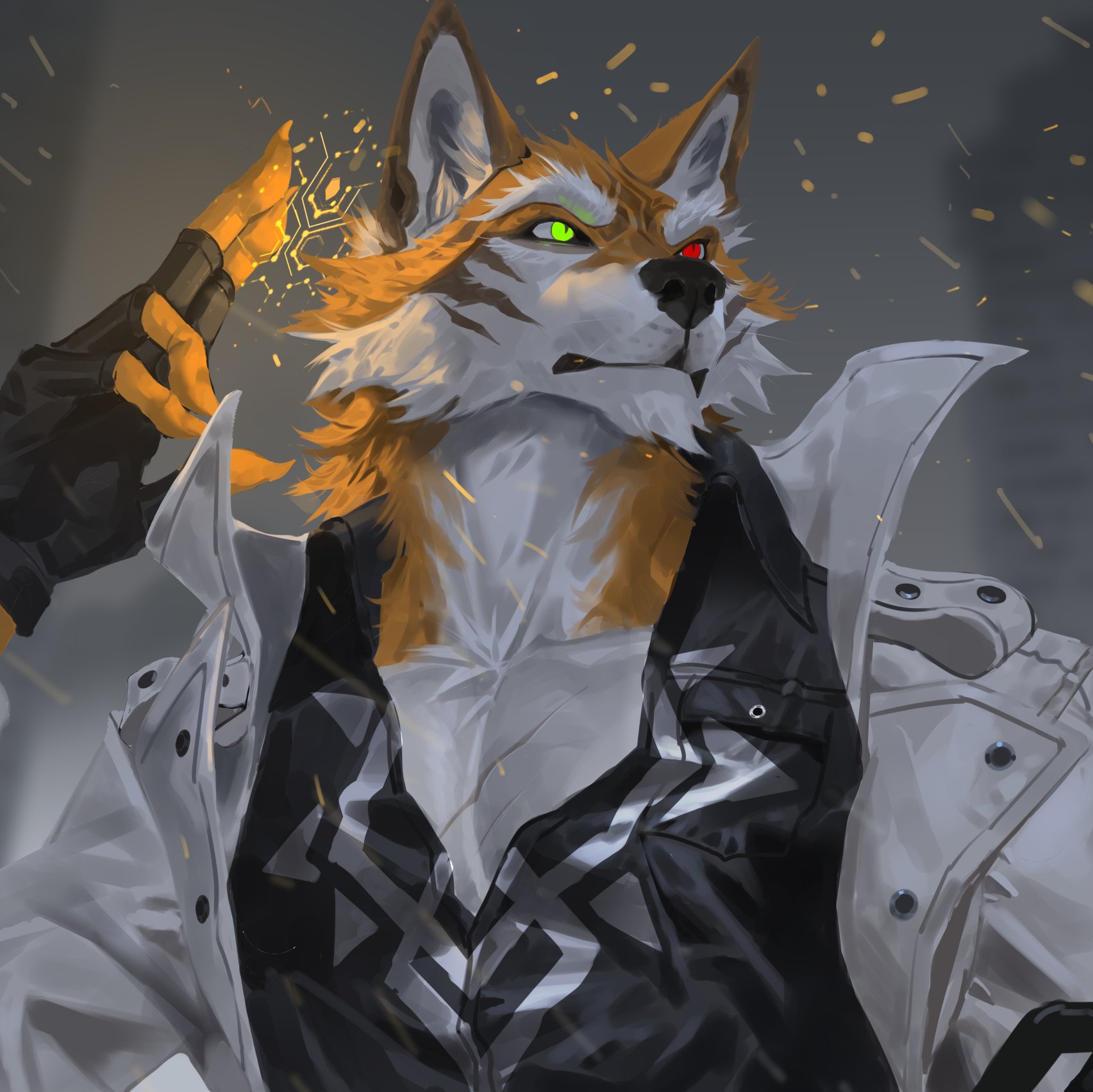 Wolfy さま 旺财on X: 