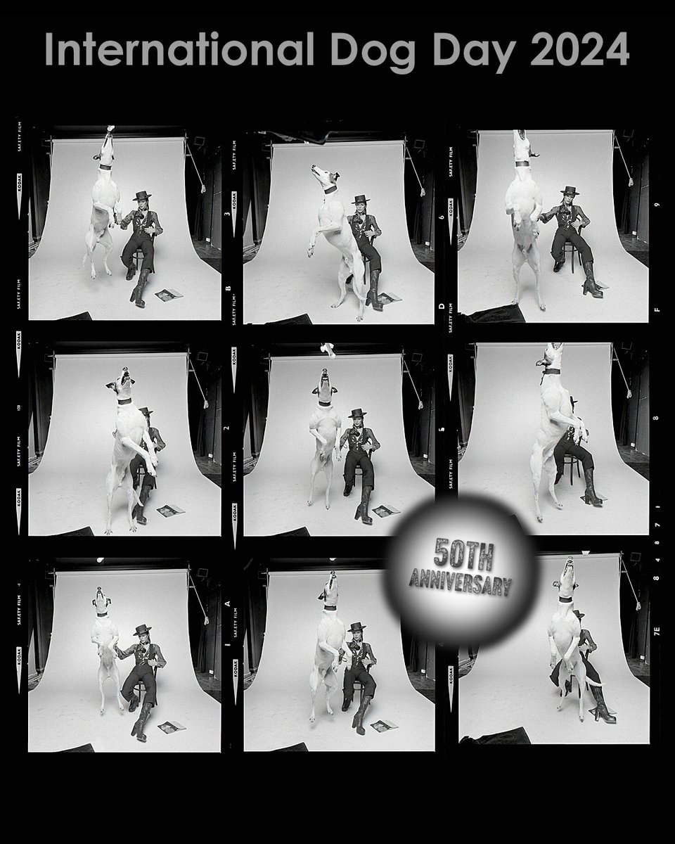 David Bowie Official tweet media