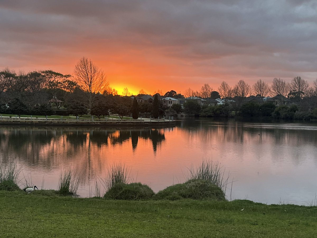 SureshRajan6's tweet image. A sight worthy of a painting! Perth is OK! #PerthIsOk #NatureIsWonderful