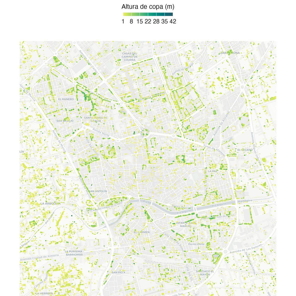 murcia_lab's tweet photo. Murcia es un municipio singular, extenso y salpicado por huerta en sus pedanías que aportan una gran extensión de espacio verde. Pero, si nos centramos en el casco urbano, Murcia no cuenta con un gran parque de referencia, tanto por extensión como por calidad arbórea ni madurez. https://t.co/pf8KpAvYqu
