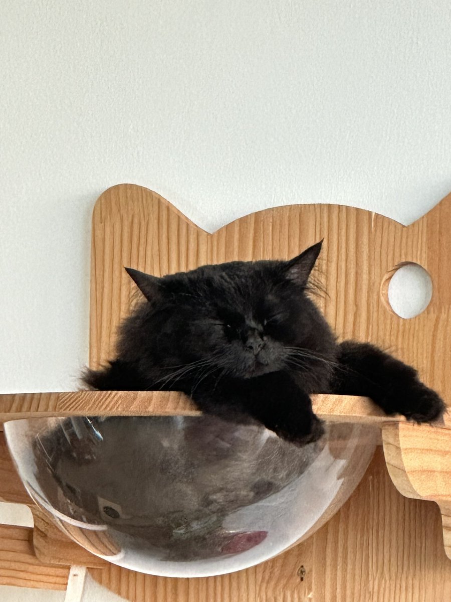 How i feel being back to office after going on a break for a week