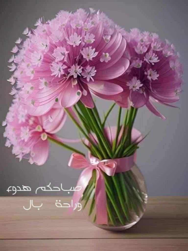 Sanidy80's tweet photo. @Sawsan26M https://t.co/GeketAbvNR