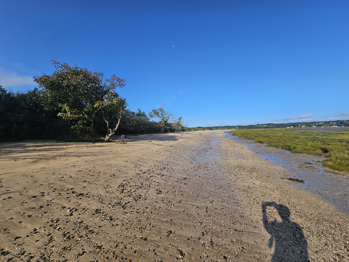 Good morning, Sunshine!! 🌞