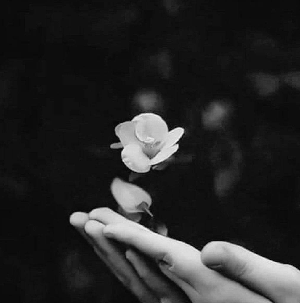 Sana bıraktım tüm olmasını istediklerimi #Allah'ım..!   🕊🕊

,,, Kün Fe Yekün ,,,

DUÂ ile sevgiyle birleşen yürekler vardır.
O halde #selam ve #duâ ile..