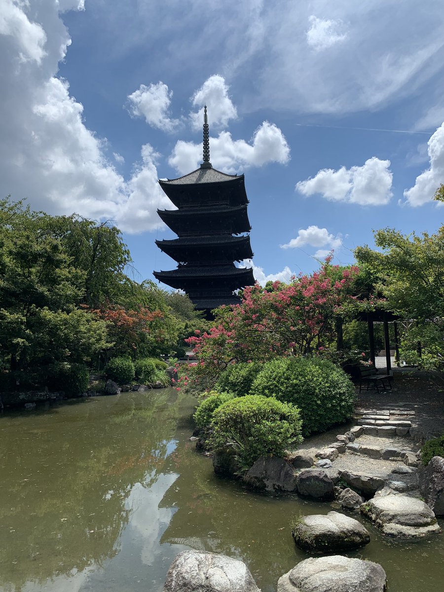 Leyli Borner tweet media