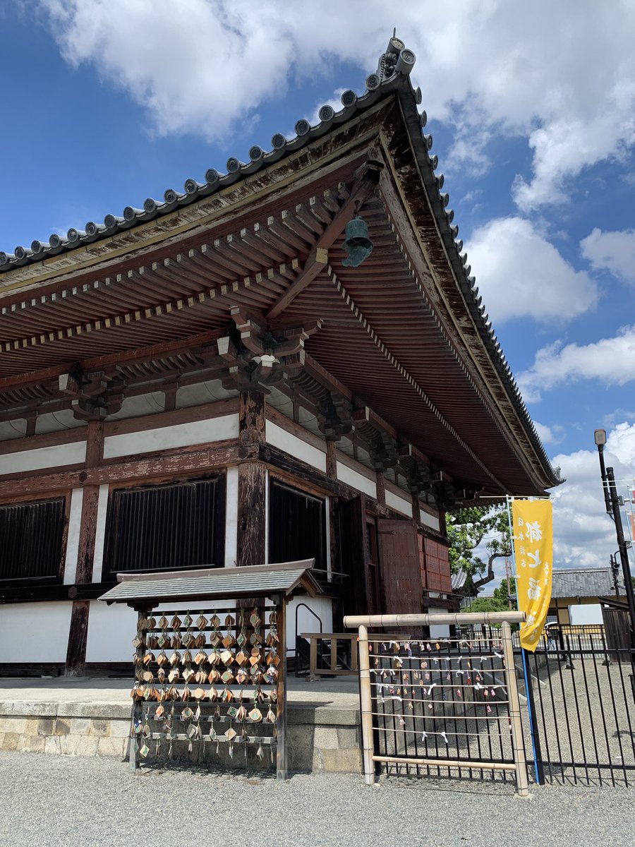 Leyli Borner tweet media