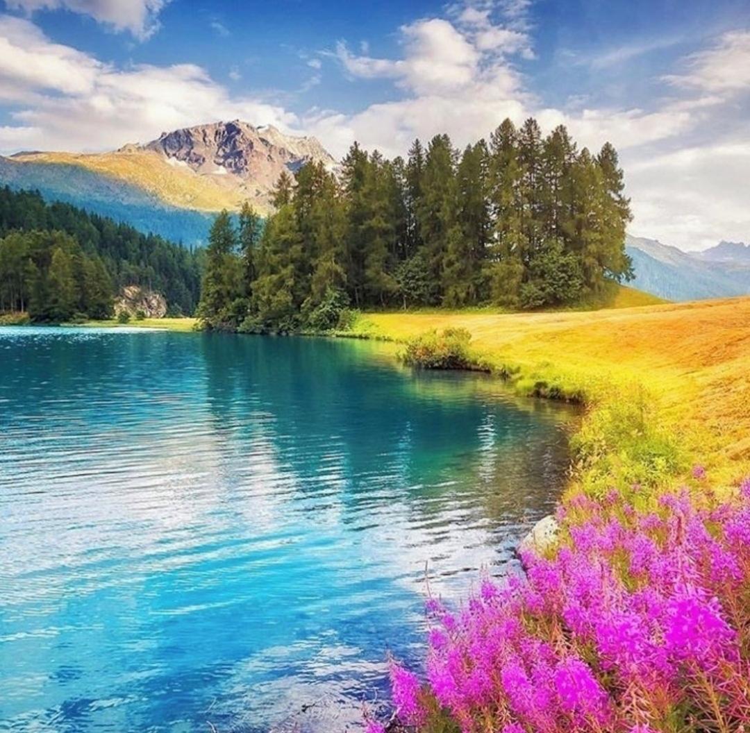 Good morning, happy week ahead 🌞☕🌺🌲🌼