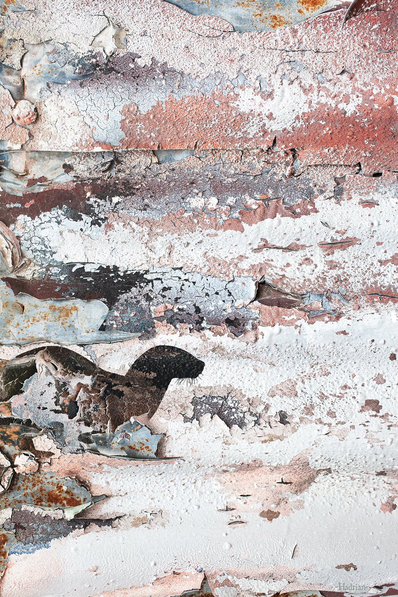 AdrianHillman's tweet photo. An otter on an abstract seashore created from a photo of paintwork on a weathered old fence
#otter #beach #seashore #wildlifeart #abstractart #urbandecay #weathering
https://t.co/7W0eKXfEWP https://t.co/T2nbtxqzca