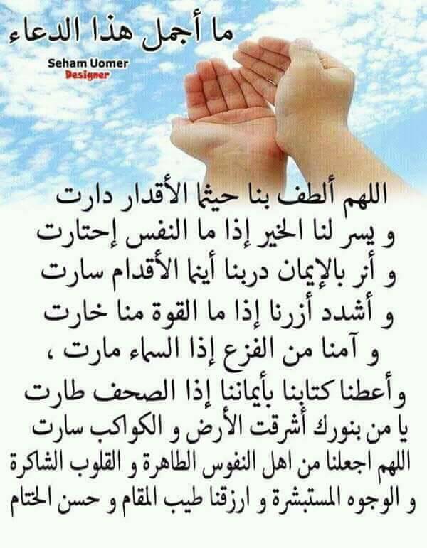 براهيم براهيم (@mohamedray79318) on Twitter photo 
