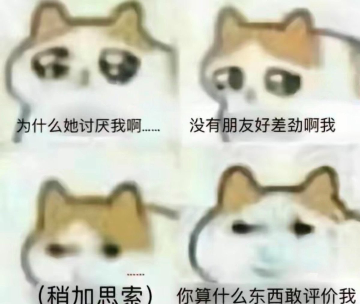 钟会 tweet media