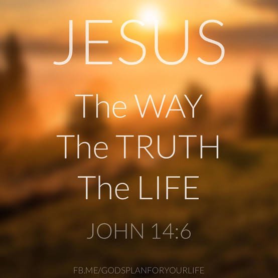 Elijah The Movie Addict ✝️ 🎥 tweet media