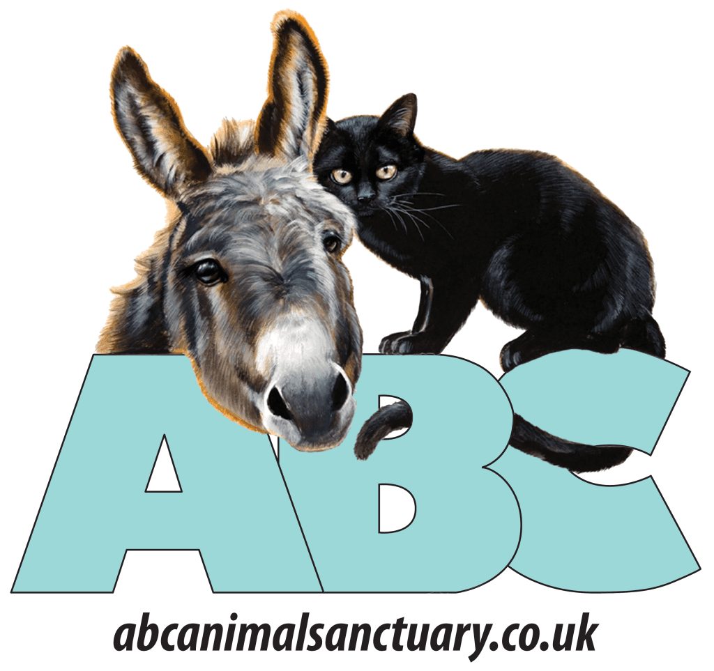 ABC Animal Sanctuary will be opening their doors for their annual open weekend, 31st August - 1st September. Meet the animals, live music, food, kids corner, stalls, pony parade, face painting and more!  zurl.co/ayBs #pulborough #animalsanctuary #openweekend