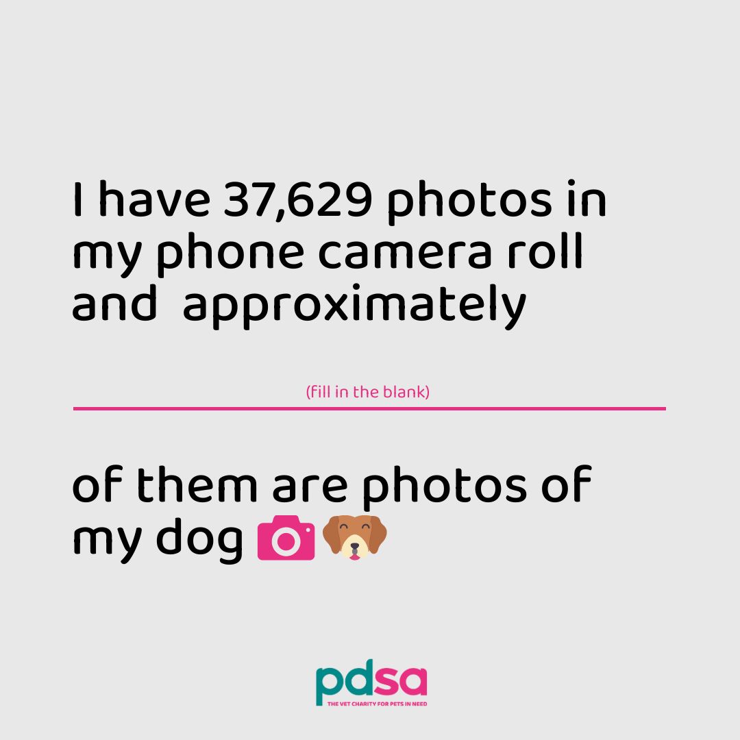 PDSA tweet media