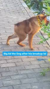 Why on earth is <a href="/TLC/">TLC Network</a> torturing us by airing anything this animal has to say.  😖😖😖#90DayFianceHappilyEverAfter