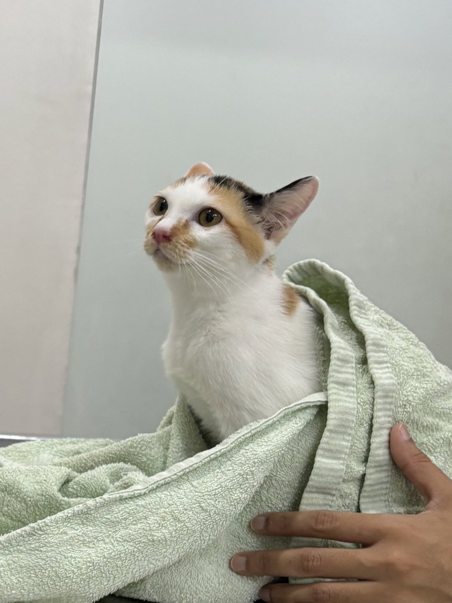 คุณหมอฟ้องว่าชอบเกาจมูกจนเลือดไหล แล้วดูยัยมิยิน นั่งฟังแล้วทำหน้าเอือมๆ 55555