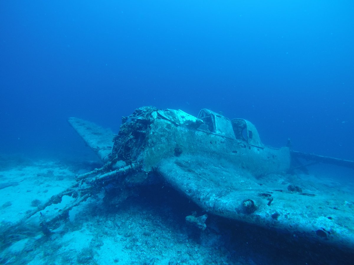 DiverExperts's tweet photo. Junkers Ju 87 (Štuka) roncsot merültük tavaly október után ismét tegnap. Csodálatos állapotban maradt meg, megunhatatlan. https://t.co/xWa4gG2yk5