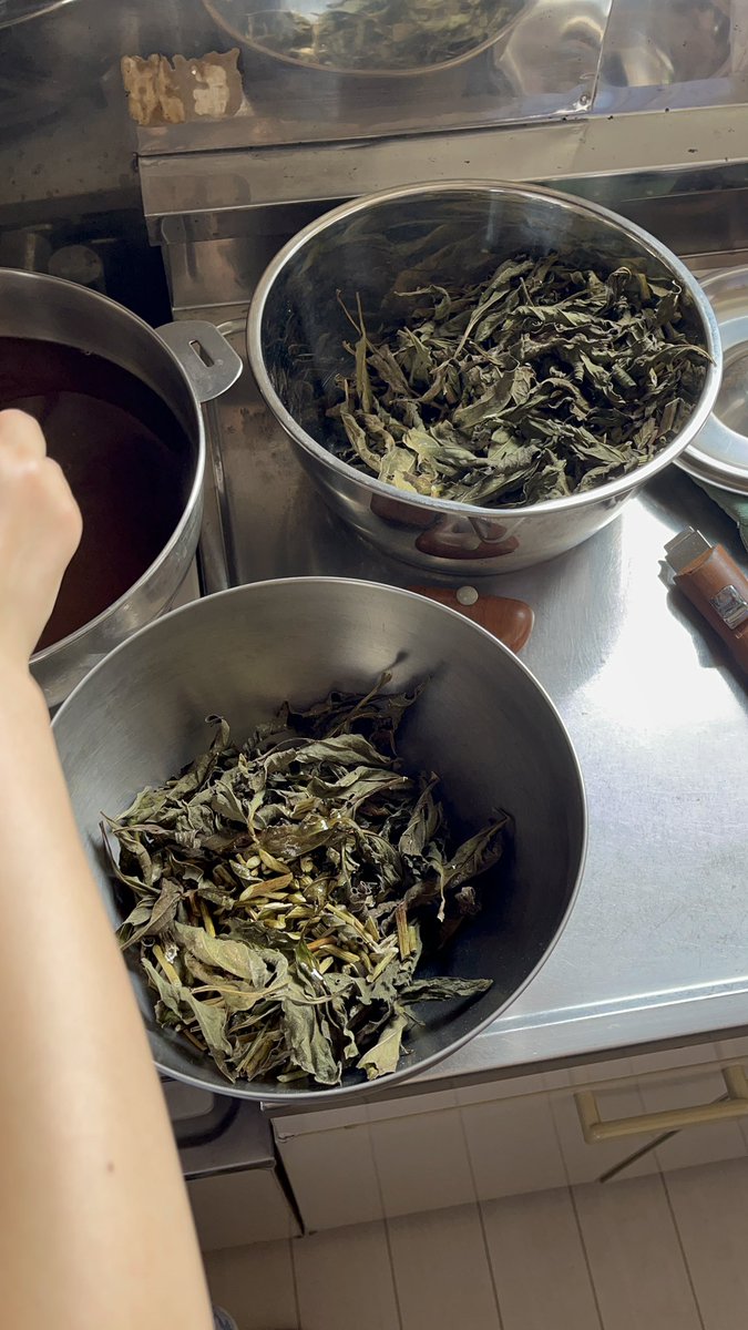 nancoco8's tweet photo. アロマハーブ、コーディアル教室
無肥料無農薬の国産ハーブを使ったワークショップを開催しました
野菜作りの話題なども盛り上がりました
次回、健康美容のワークショップは秋を予定しています

#国産ハーブ
#無肥料無農薬
#家庭菜園 https://t.co/0iwIxhaZ9k