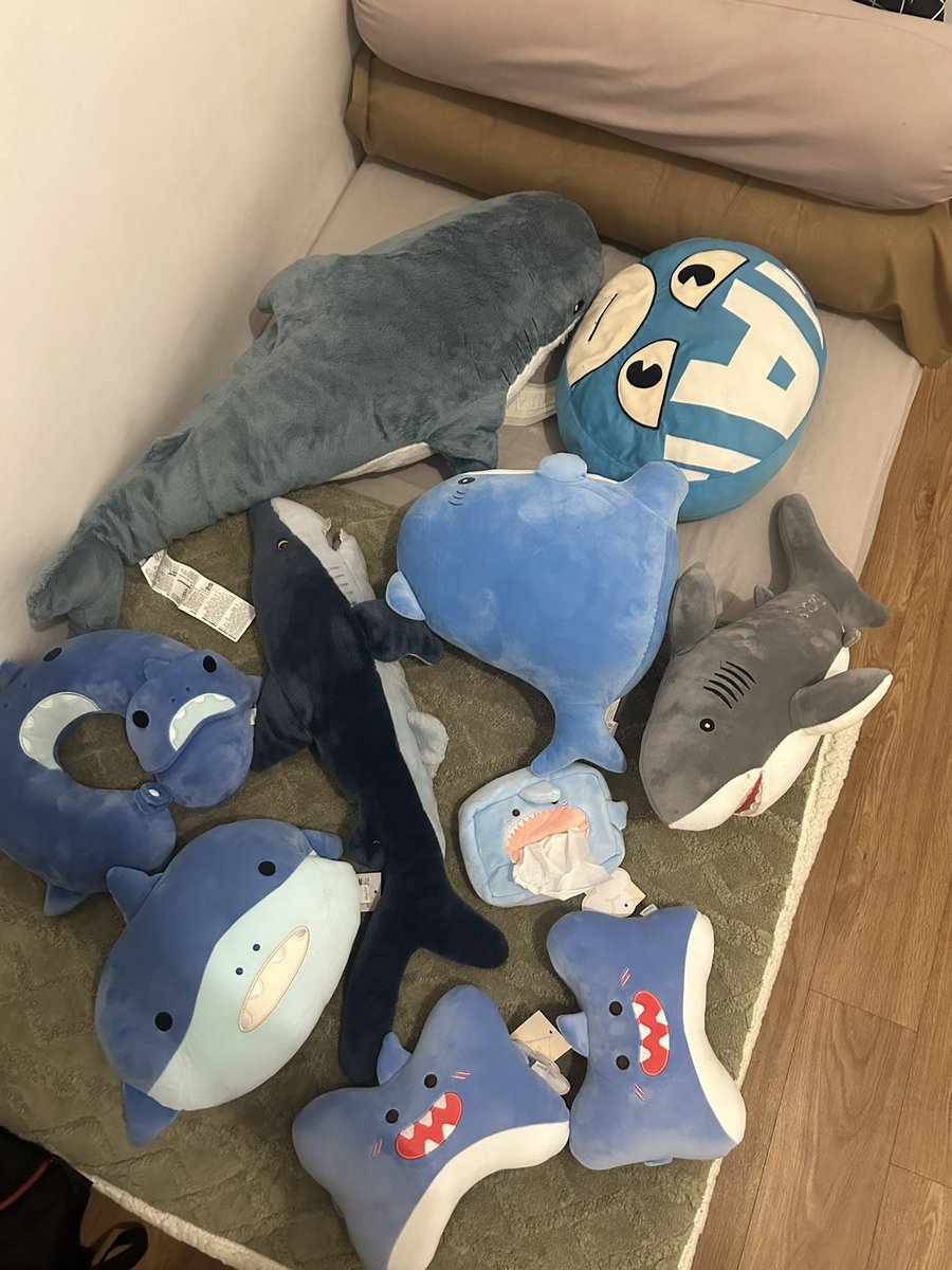 kageyamamu's tweet image. coba aja kalo bisa ngelewatin mereka 😎

Pas banget kemarin lagi foto mereka wkwk