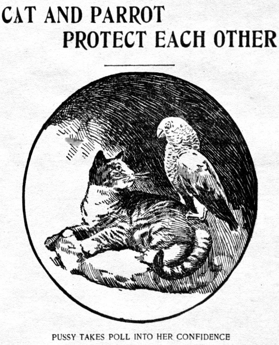 yesterdaysprint's tweet photo. The Times, Philadelphia, Pennsylvania, August 27, 1899 https://t.co/fvR0fAv8Wb