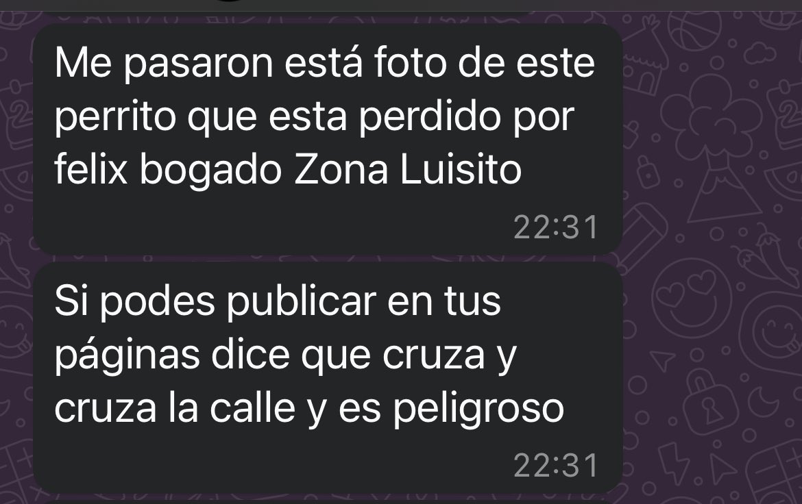 ForcadoKaren's tweet photo. Urgente ahora me pasaron está foto de este perrito que esta perdido por felix bogado Zona Luisito Asunción 😭😭 hagamos el rt por ahi damos con su familia https://t.co/wBybt5YjVJ