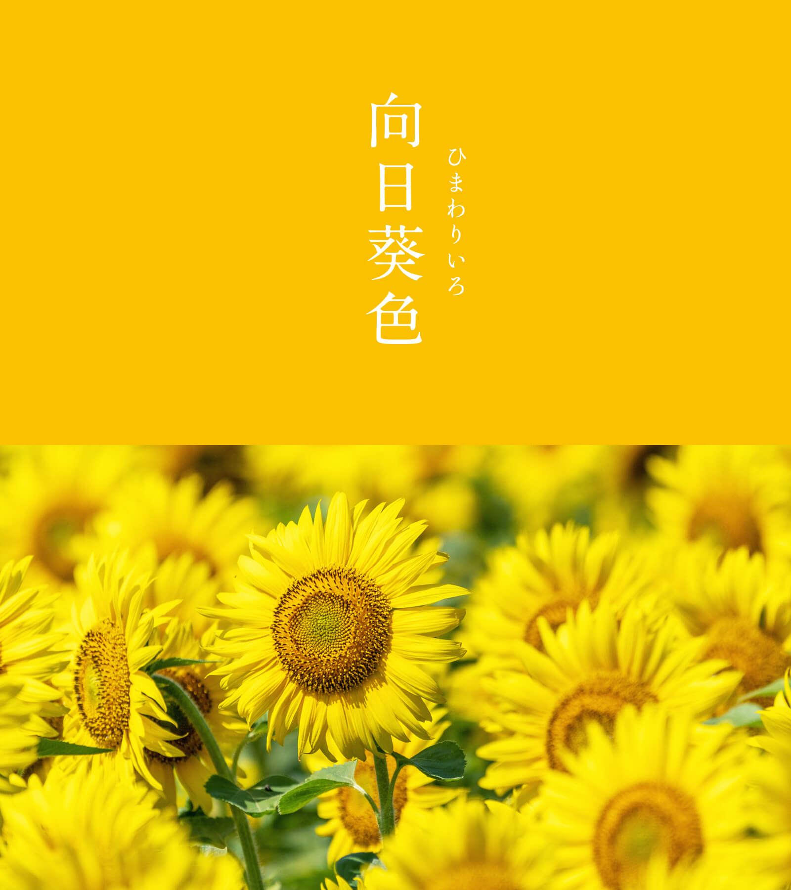 暦生活 on X: 暦生活 on X: