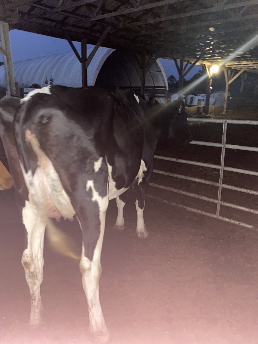 ScottHCF's tweet image. Big changes coming here at half ass acres farm.