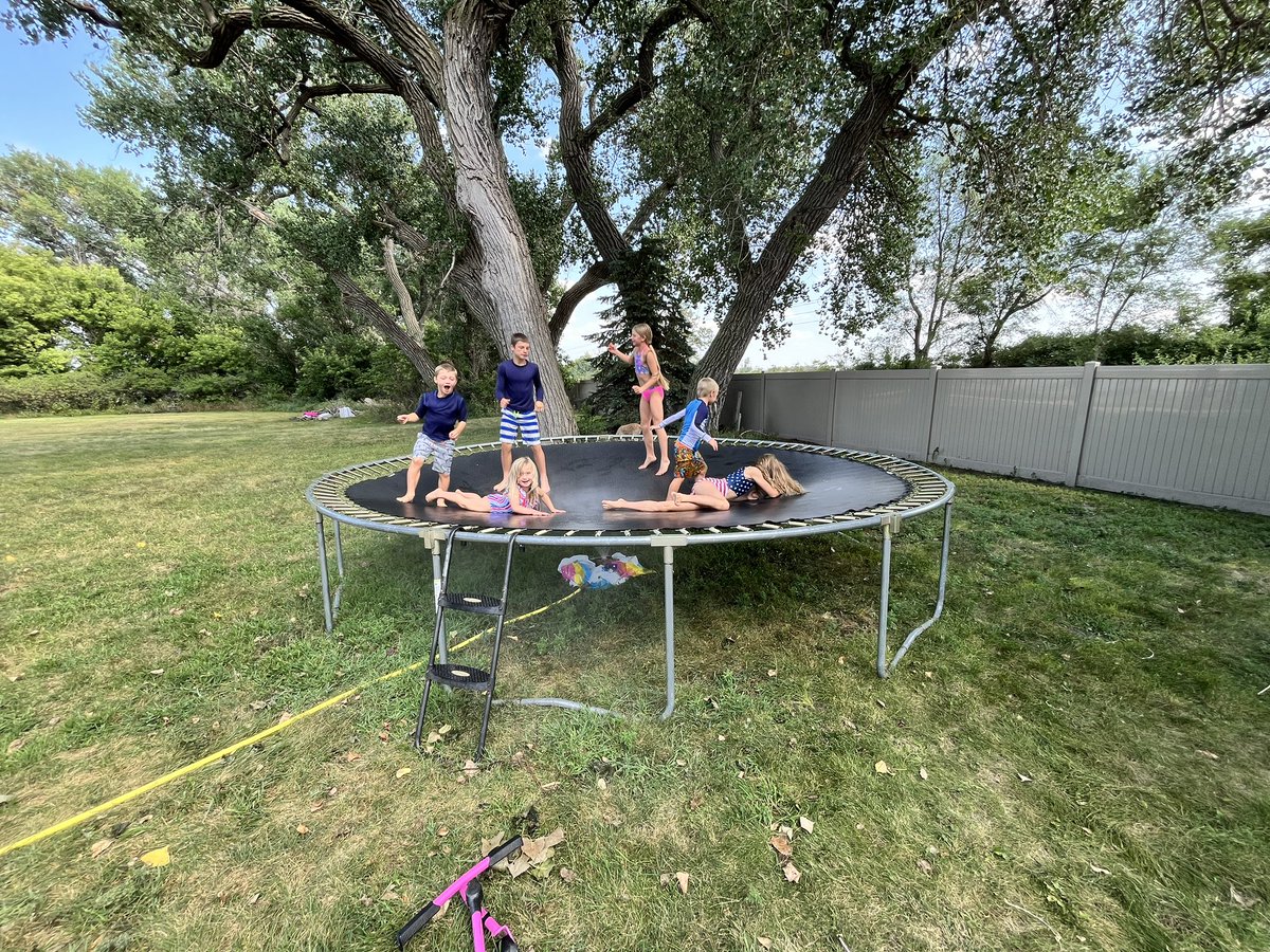 mojojojo7654's tweet photo. Living their best life 💜 https://t.co/I7Dy8LiS0E