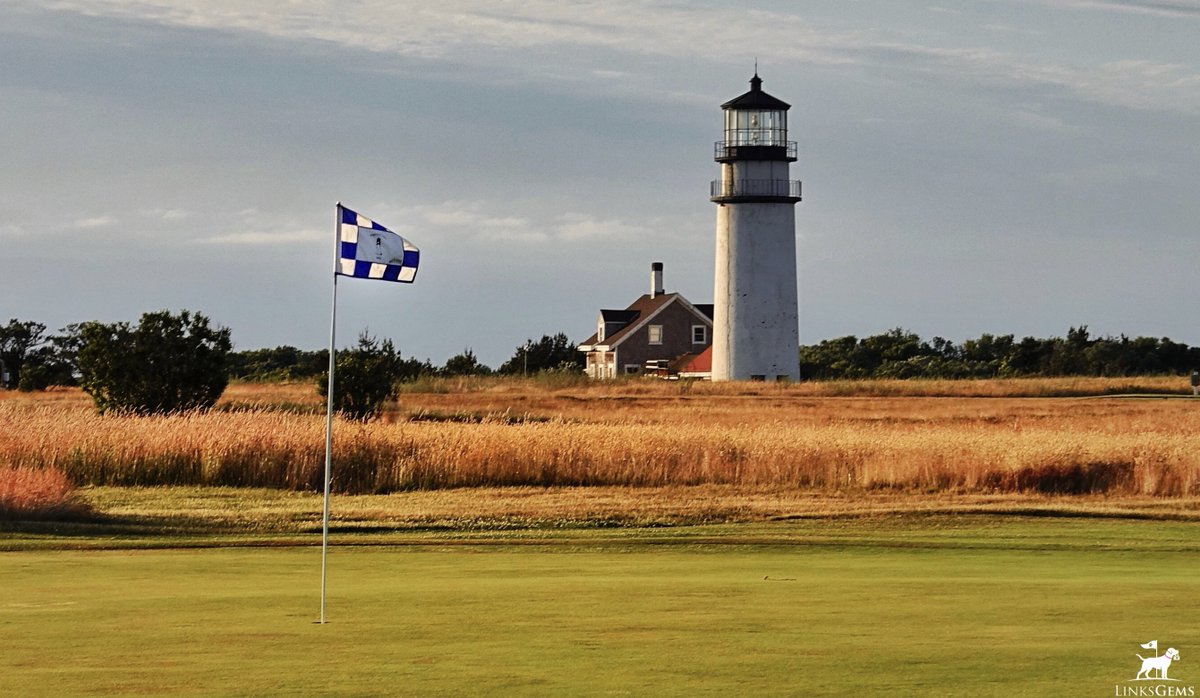 LinksGems tweet media