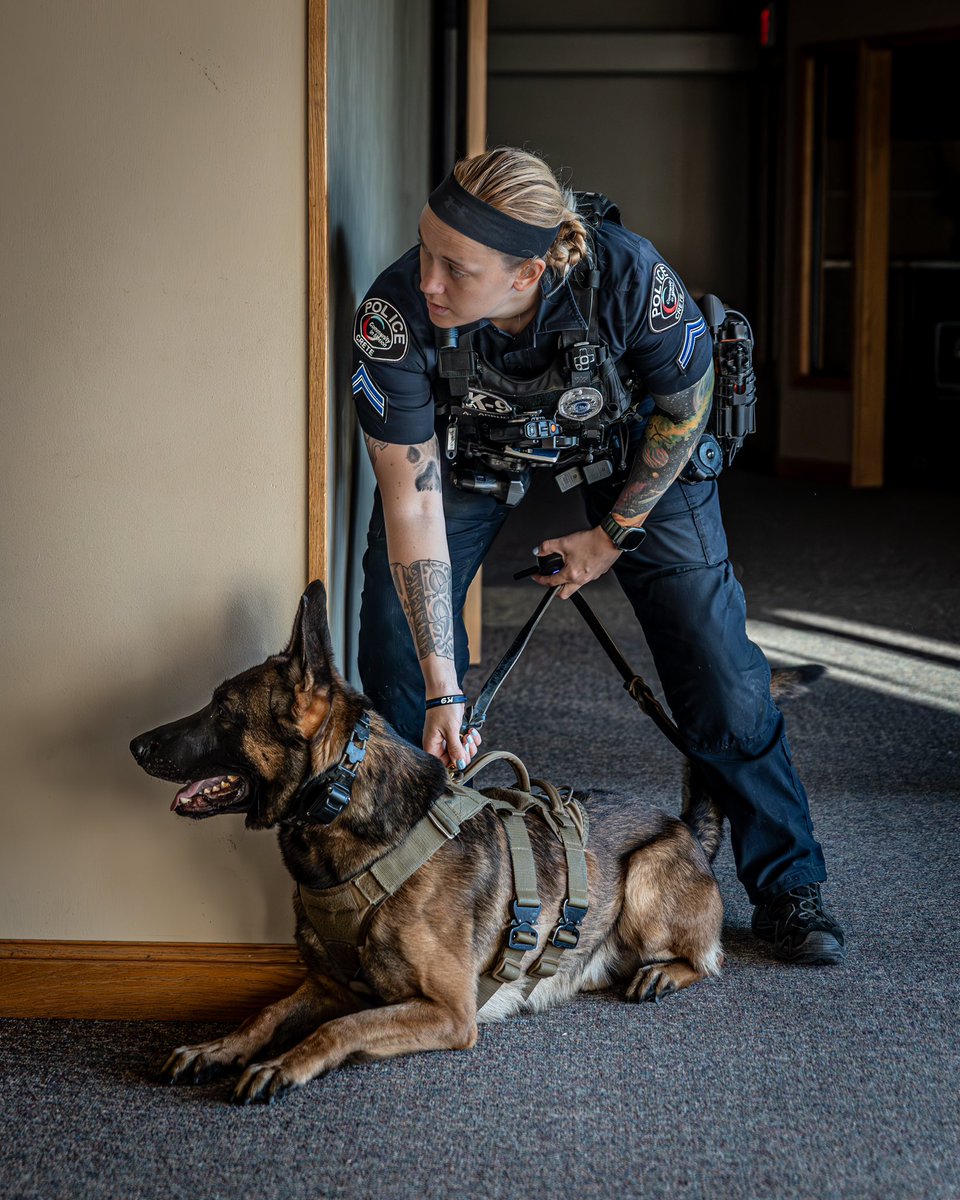 CPDPoPaws's tweet image. We’ve been training hard and staying busy! #K9Hunk #K9 #policeK9 #police #lawenforcement