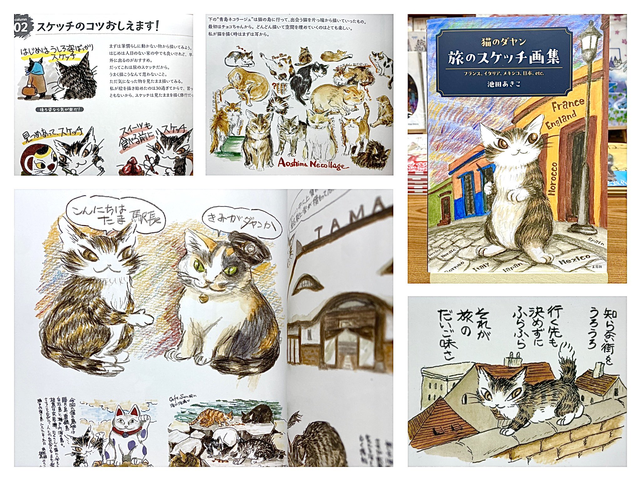 ダヤン アートキャンバス 池田あきこ先生直筆サイン入りわちふぃーるど