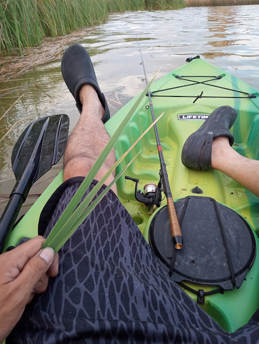 don't forget to touch grass