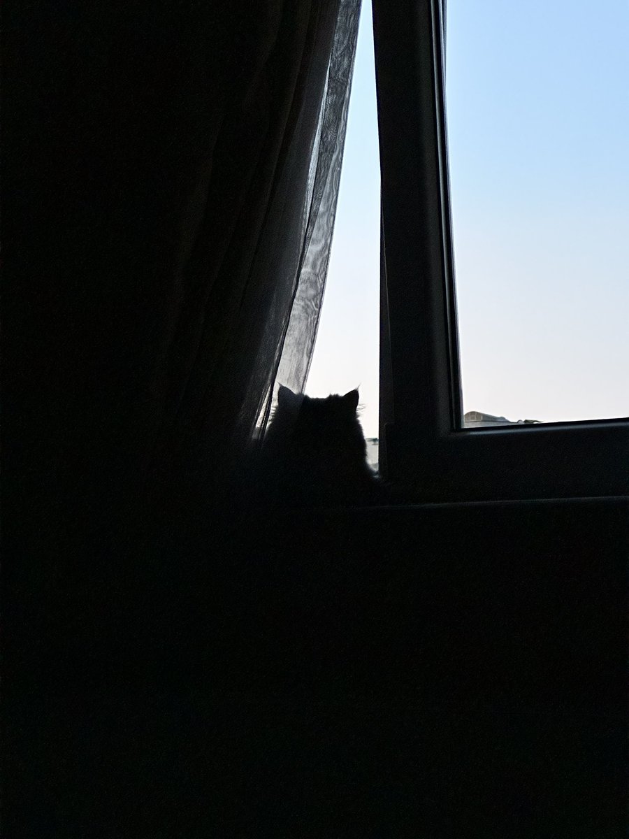 Suna Kaya (@sunakaya) on Twitter photo 