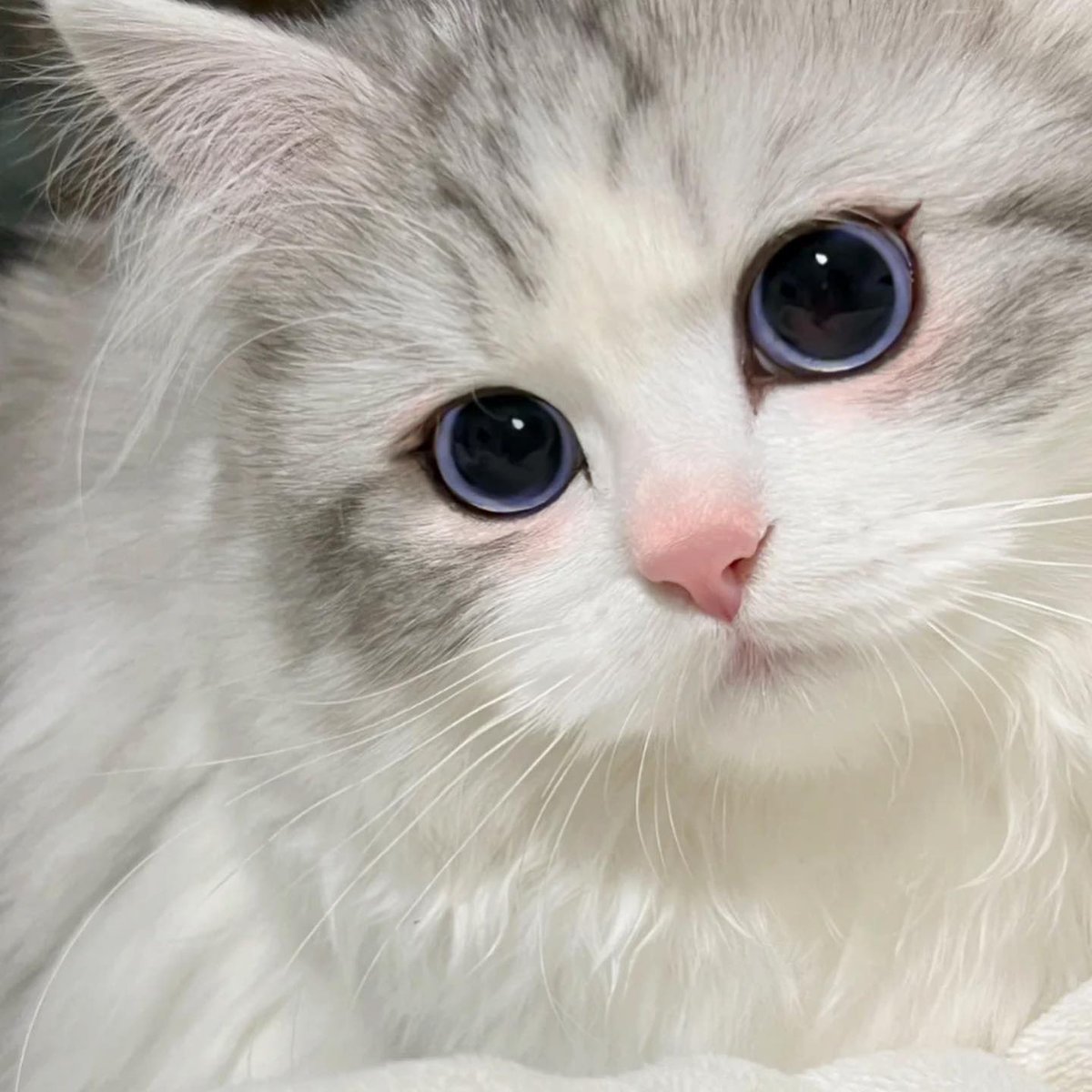 Katz0's tweet photo. น้องแจมินนนนนนนนน https://t.co/H98noalwC9