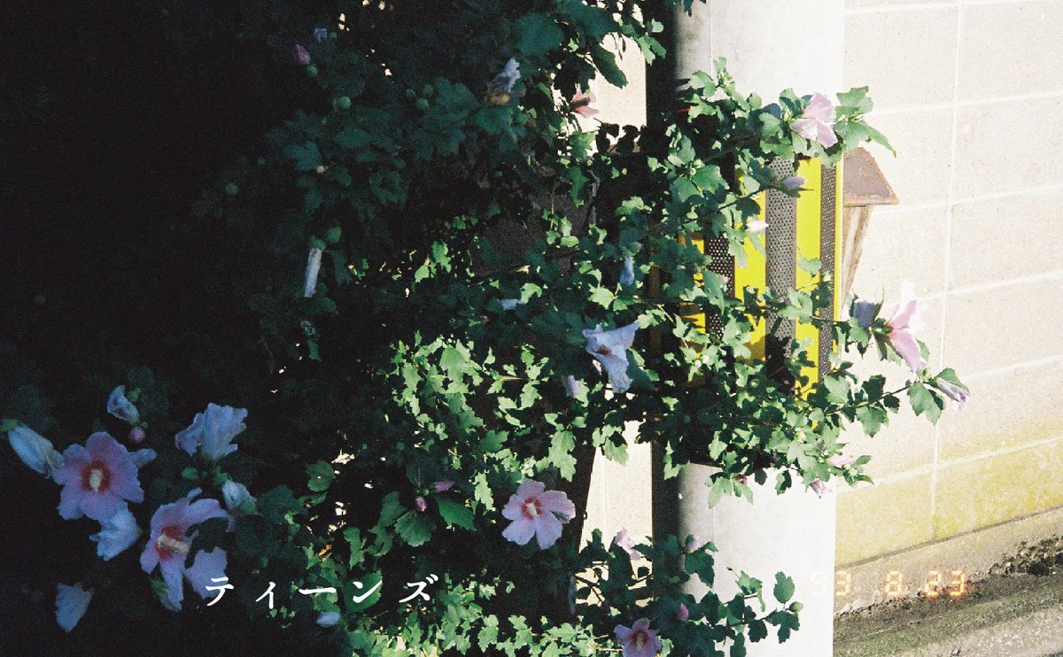 カセット「昨日の今日」お取り扱い一覧

The Domestic (<a href="/TheDomestic_/">The Domestic</a>)
ttosdomestic.thebase.in/items/90107614

HOLIDAY! RECORDS (<a href="/holiday_distro/">HOLIDAY! RECORDS おすすめ音楽紹介 & CD屋</a>)
holiday2014.thebase.in/items/89705948

One For Sorrow Distro (<a href="/1_4_sorrow/">One For Sorrow Distro</a>)
oneforsorrow.cart.fc2.com/ca2/3/

セミシングレコーズ通販(<a href="/semisingrecords/">セミシングレコーズ</a>)
semising.base.shop/items/89194590