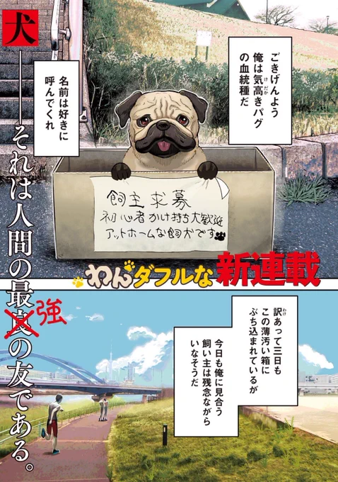 本日からヤンマガ本誌で新連載が始まります! パグがが可愛い女子高生のために悪いやつと闘うお話です💥🤛🐶 作画を担当しております。どうぞよろしくお願いします!#イッヌ https://yanmaga.jp/comics/INNU%E3%82%A4%E3%83%83%E3%83%8C