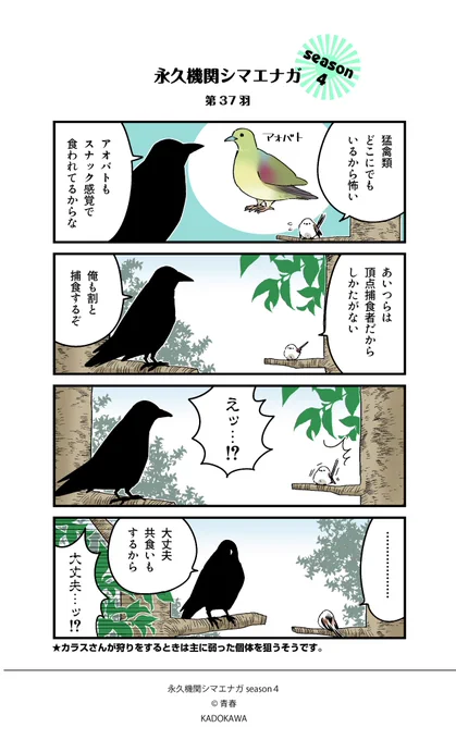✨永久機関シマエナガ✨
✨シーズン4 配信中✨

【第37羽】

#永久機関シマエナガ 
#シマエナガとカラスさん
#漫画が読めるハッシュタグ 