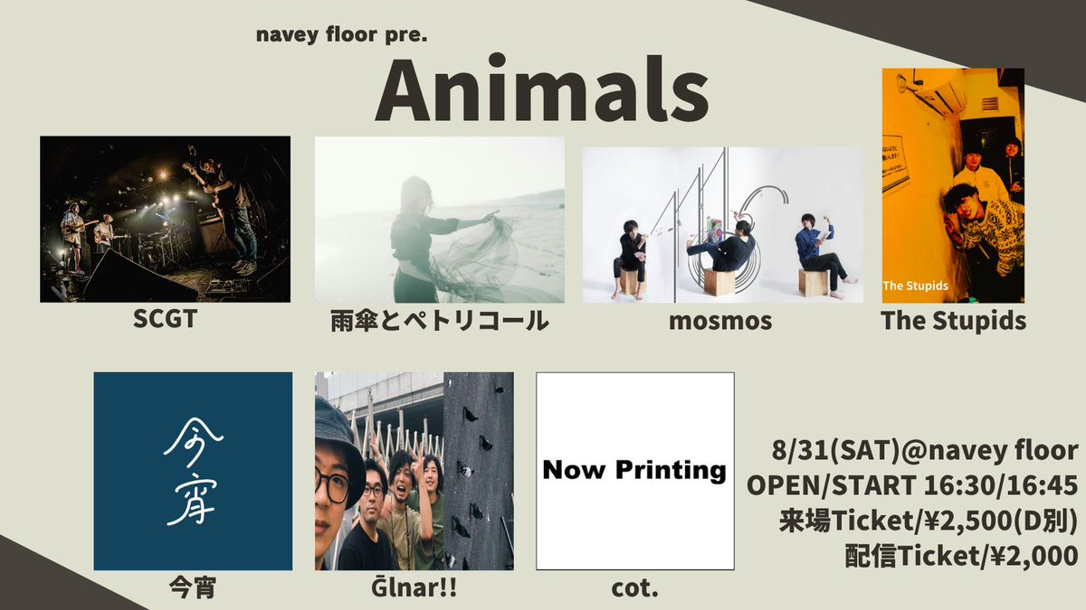 【今週末！】
8/31(土)navey floor AKASAKA
navey floor pre.
『Animals』

出演：
SCGT
雨傘とぺトリコール
mosmos
The Stupids
今宵
Ḡlnar!!
cot.

OPEN/START 16:30/16:45

ご予約はDMで🦆