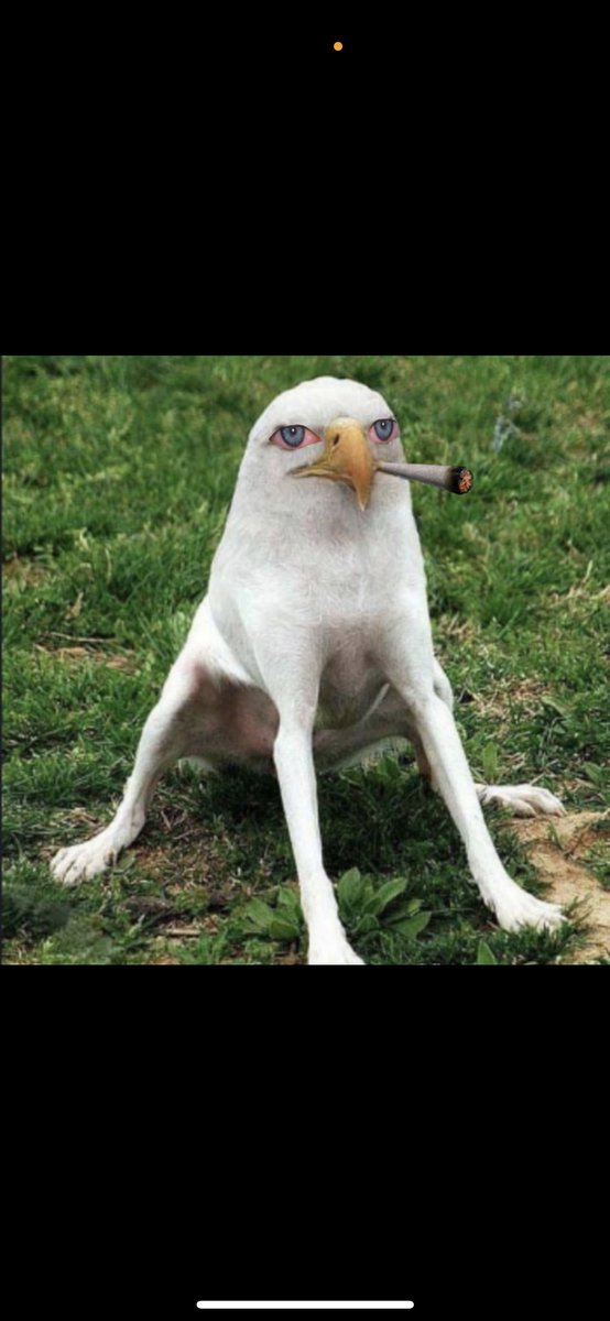 Gxdspeed96's tweet photo. @Crypto_TownHall @SmokingEagleDog 
@durov is invested just ask him yourself https://t.co/XQBvRf76fK