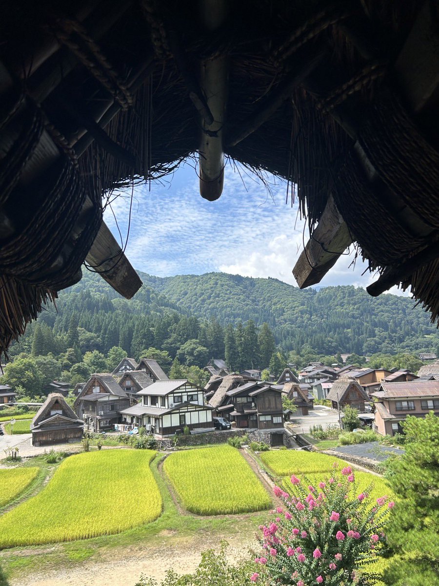 先日、上高地・白川郷の研修を実施しました🚌 素敵な景色を肌で感じ